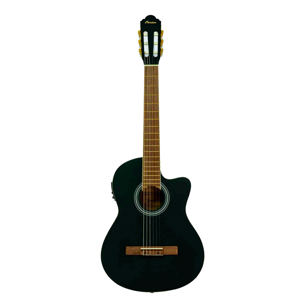 GUITARRA ELECTROACUSTICA CLASICA BAMBOO BK-Q 39" N