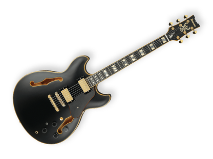 Guitarra Electrica Ibanez JSM20-BKL Negro Mate con Estuche