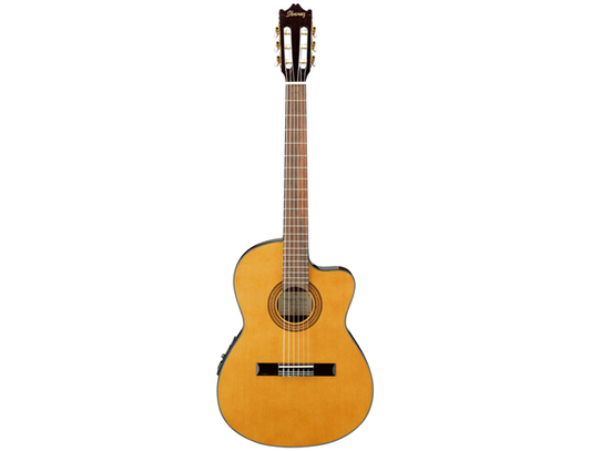 Ibanez GA5TCE-AM — Guitarra Electroacustica Ibanez Natural
