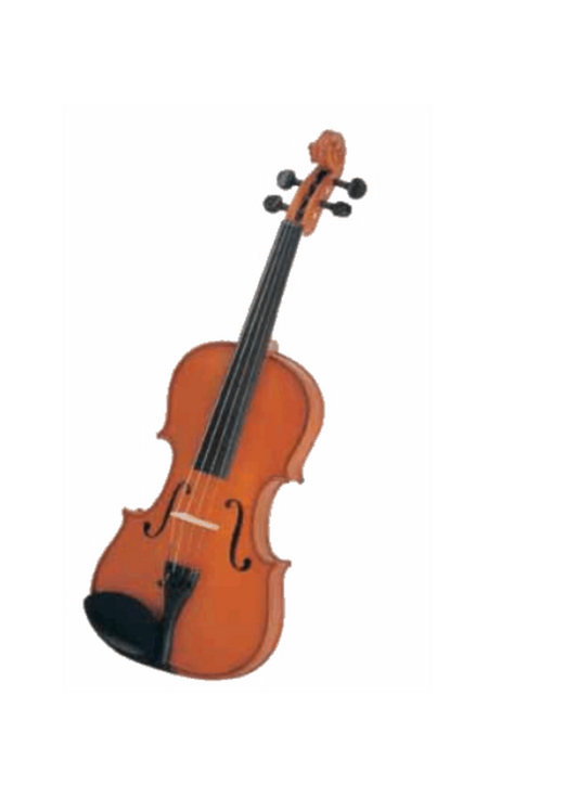 VIOLIN BRILLANTE 4/4 SOLID EBANIZADO CLAV-BAR AMADEUS CELLIN MV012R N