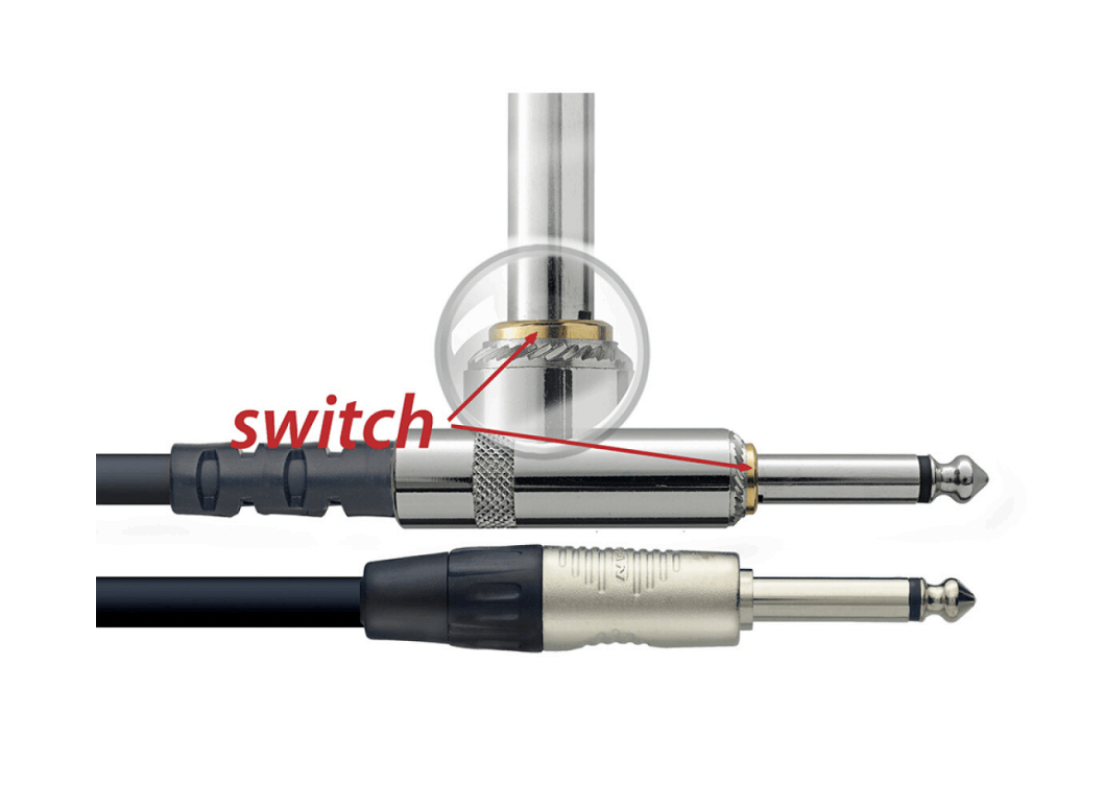 CABLE DE INSTRUMENTO, PLUG/PLUG 6 M CON INTERRUPTOR NGC6SWR N
