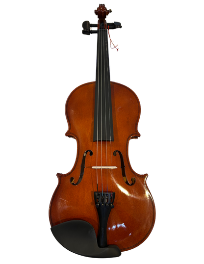 Violin 4/4 Amadeus Cellini Laminado Brillante | Amvl001 N