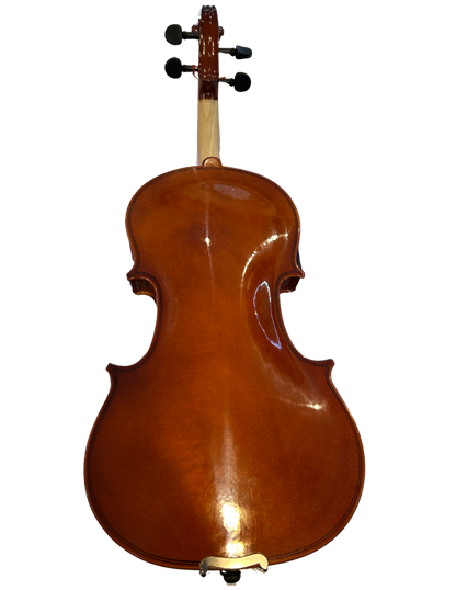 Violin 4/4 Amadeus Cellini Laminado Brillante | Amvl001 N