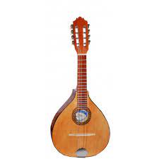 MANDOLINA ECONOMICA CG | M1 N