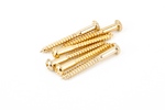 TORNILLOS DE MONTAJE DE PUENTE STRAT® DE ESTILO VINTAGE GOLD (6)