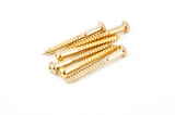 TORNILLOS DE MONTAJE DE PUENTE STRAT® DE ESTILO VINTAGE GOLD (6)