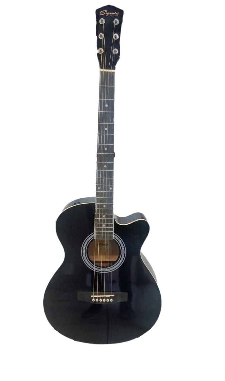 GUITARRA ELECTROACUSTICA 40" AZUL SEGOVIA N