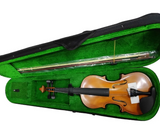 VIOLIN AMADEUS CELLINI 4/4 AMVL007 N