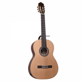 GUITARRA CLASICA SEGOVIA MATE TIPO YAMAHA SGLC-162 N