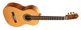 GUITARRA CLASICA SEGOVIA MATE TIPO YAMAHA SGLC-162 N