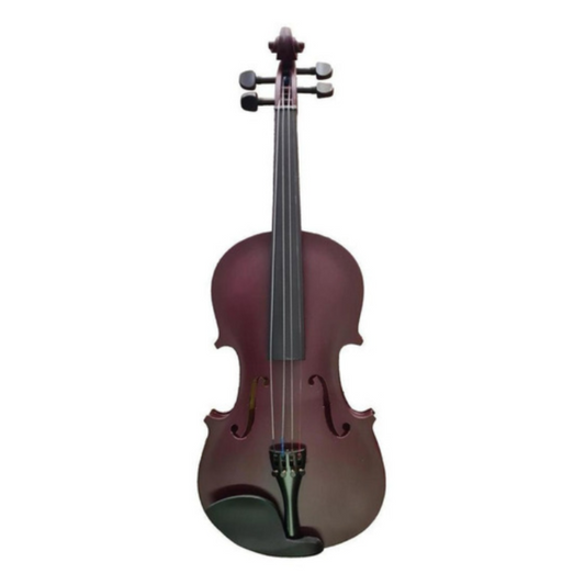 VIOLIN ANDOLIN ESPECIAL 4/4 NOGAL CON ESTUCHE Y ARCO N
